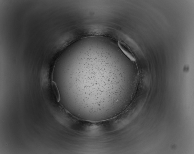 X0000102820312200809021257