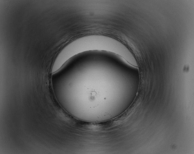 X0000102820313200809021257