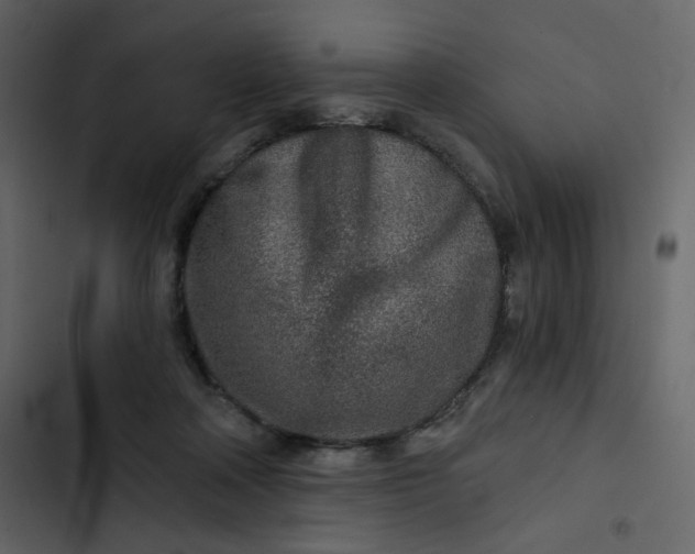 X0000102820314200809021257