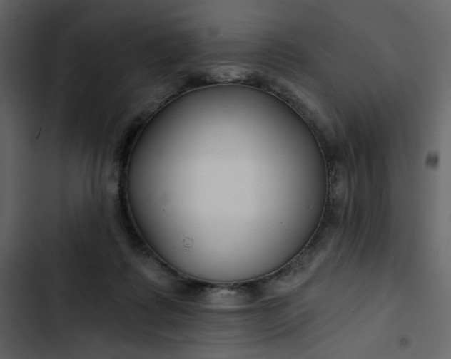 X0000102820315200809021257