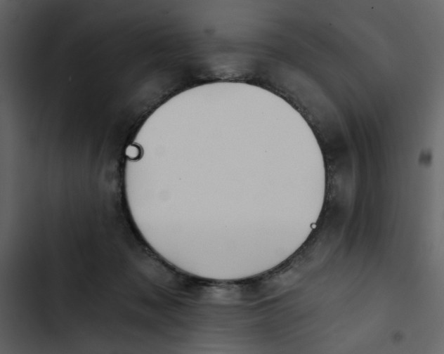 X0000102820317200809021257
