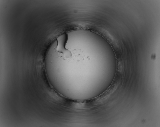 X0000102820318200809021257