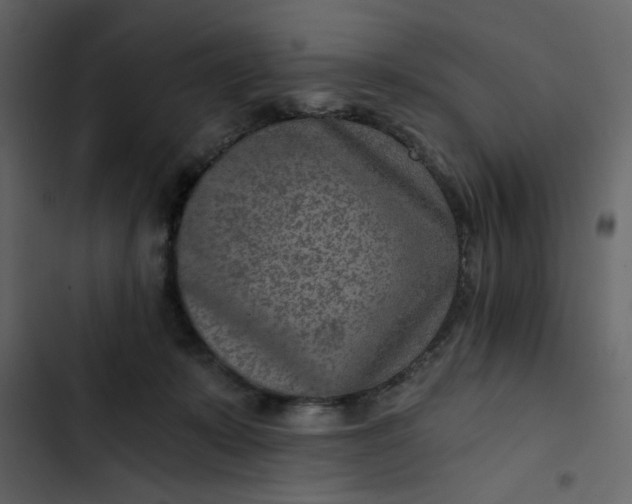 X0000102820319200809021257