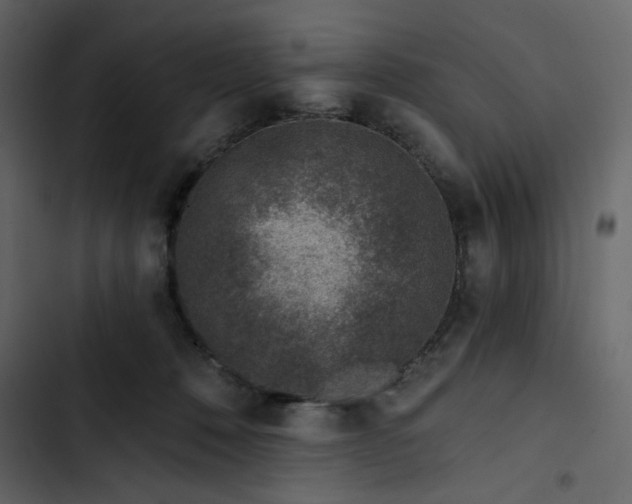 X0000102820320200809021257