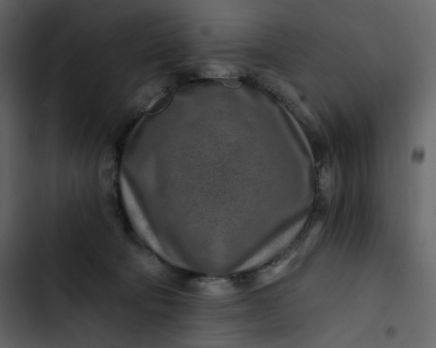 X0000102820322200809021257