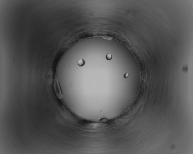 X0000102820323200809021256