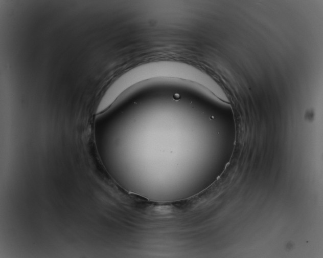 X0000102820324200809021256