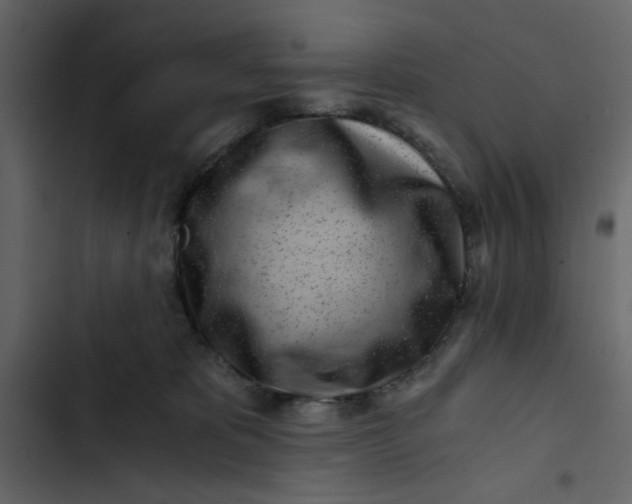 X0000102820325200809021256