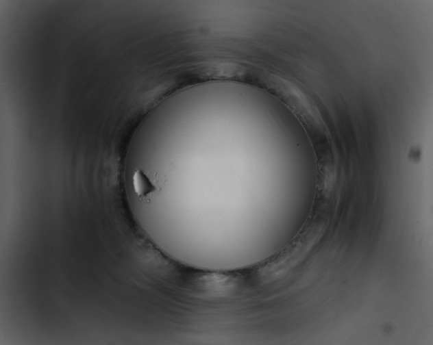 X0000102820326200809021256