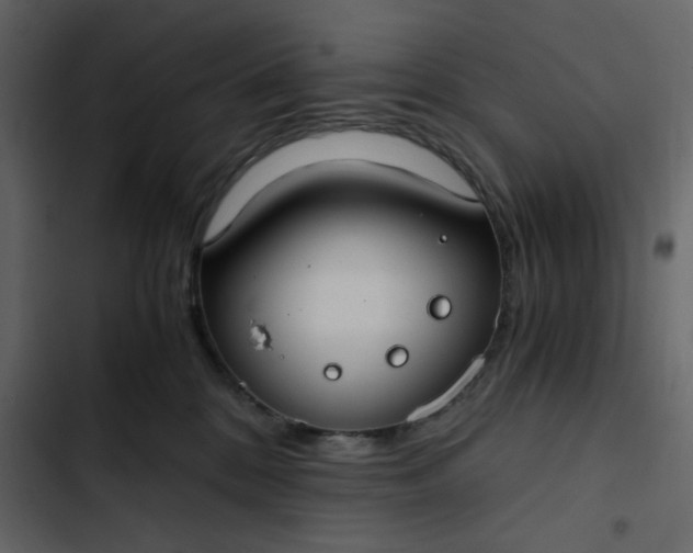 X0000102820328200809021256