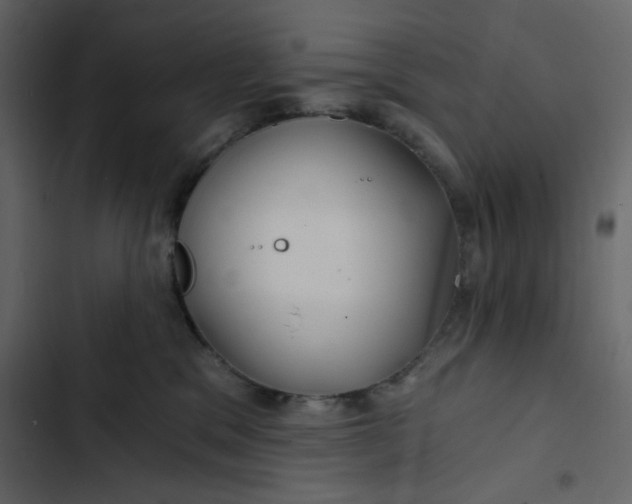 X0000102820329200809021256