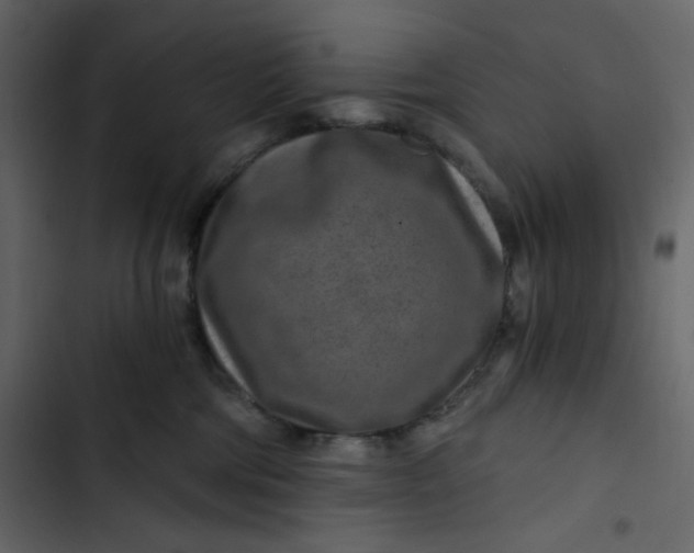 X0000102820330200809021256