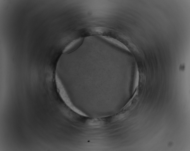 X0000102820331200809021256
