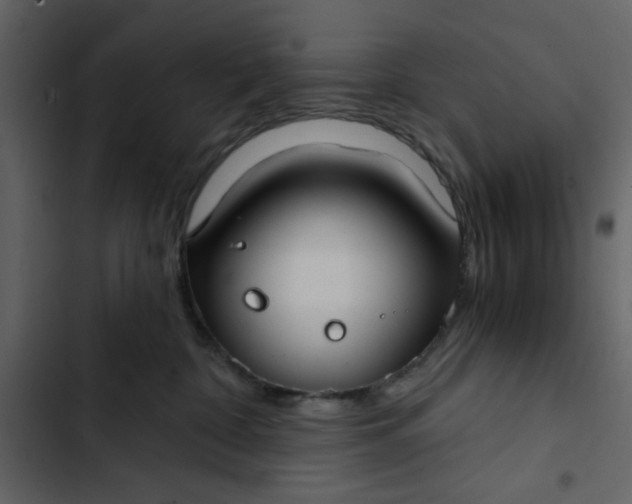X0000102820332200809021256