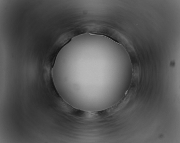 X0000102820333200809021256