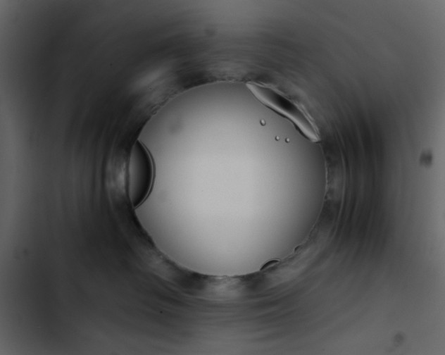 X0000102820334200809021256