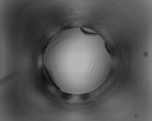 X0000102820335200809021256