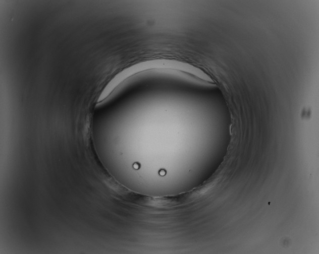 X0000102820336200809021256