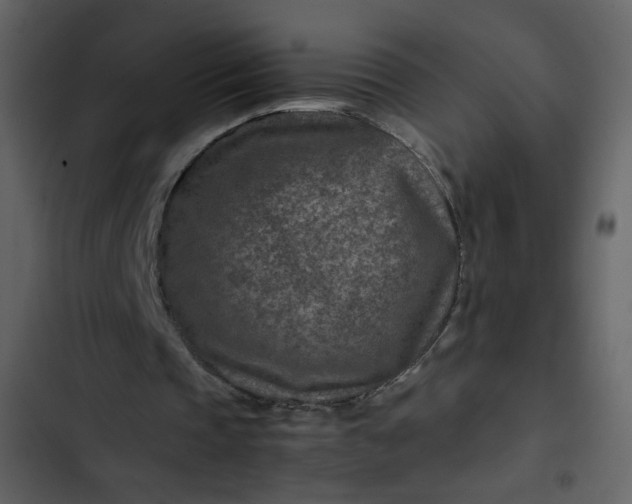 X0000102820337200809021255