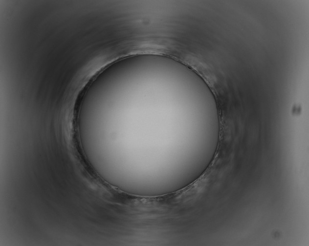 X0000102820338200809021255