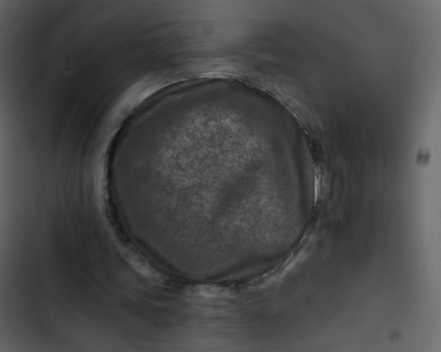 X0000102820339200809021256