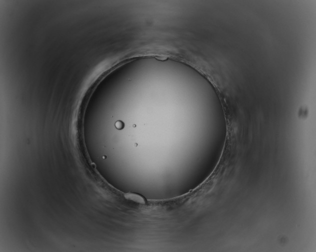 X0000102820340200809021256