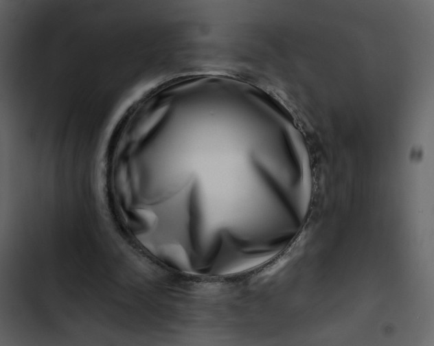 X0000102820342200809021256