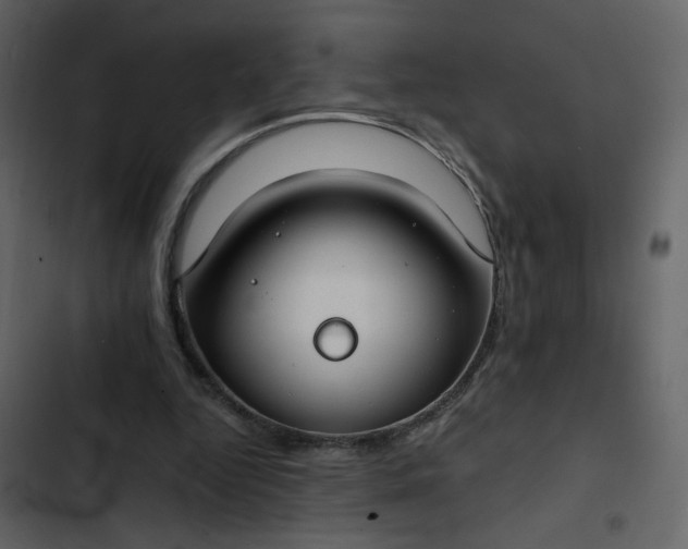 X0000102820344200809021256