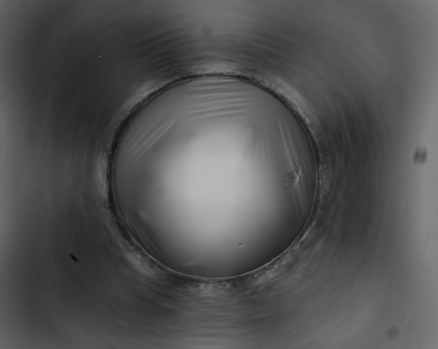 X0000102820345200809021256