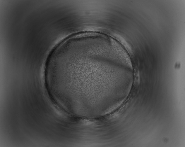 X0000102820346200809021256