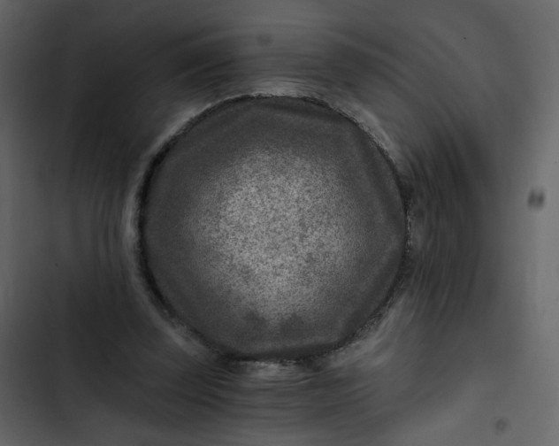 X0000102820347200809021256
