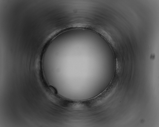 X0000102820348200809021256