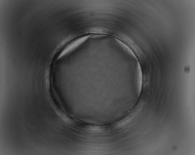 X0000102820349200809021256