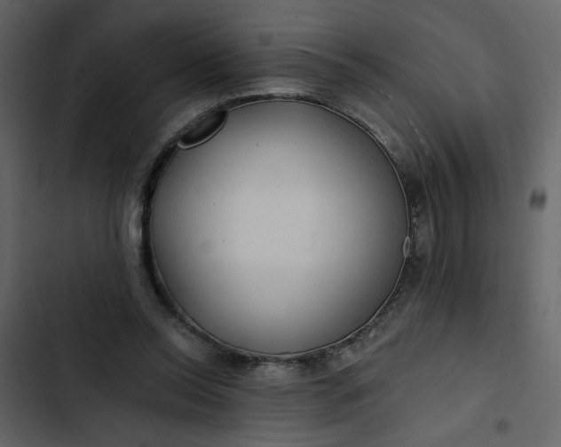 X0000102820350200809021256