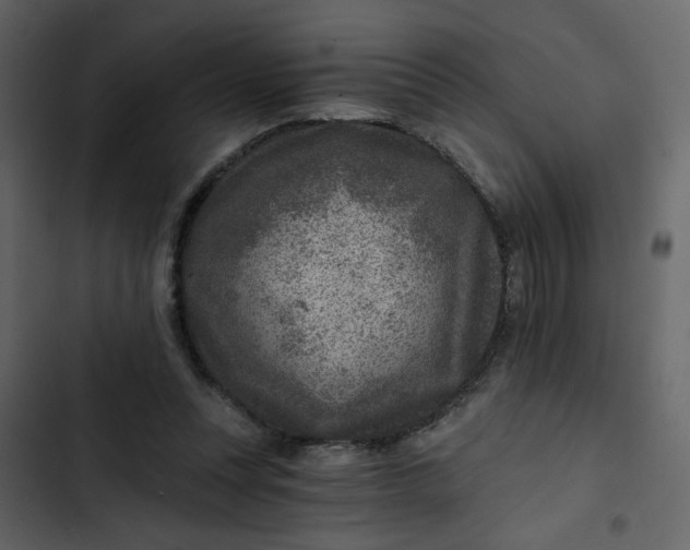 X0000102820351200809021256