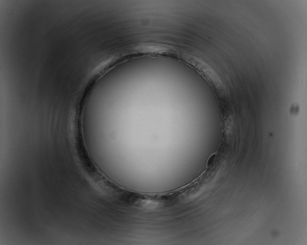 X0000102820352200809021256