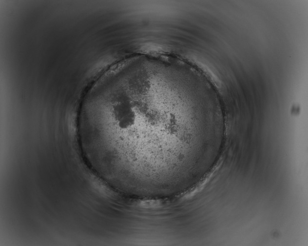 X0000102820353200809021256