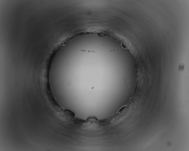 X0000102820354200809021256