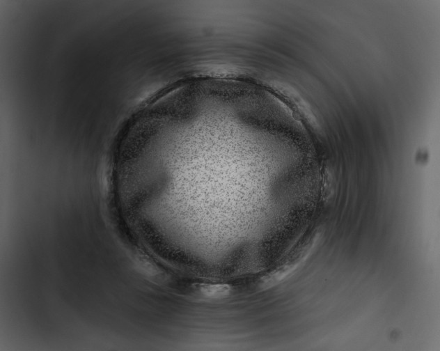 X0000102820355200809021256
