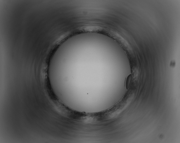 X0000102820356200809021256