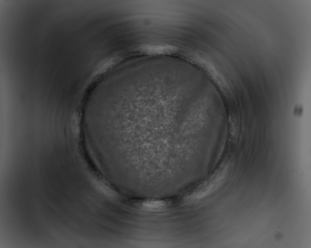 X0000102820357200809021256