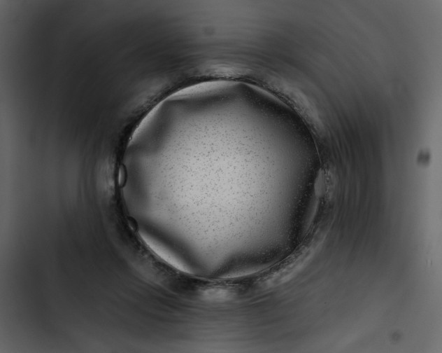 X0000102820358200809021256