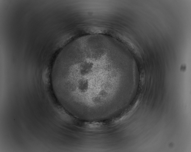 X0000102820359200809021256