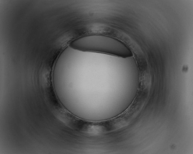 X0000102820360200809021256