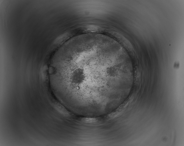 X0000102820361200809021256