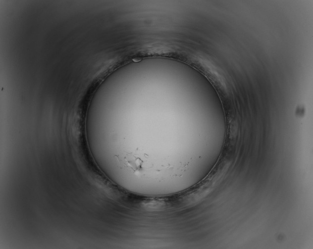 X0000102820362200809021256