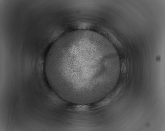 X0000102820363200809021256