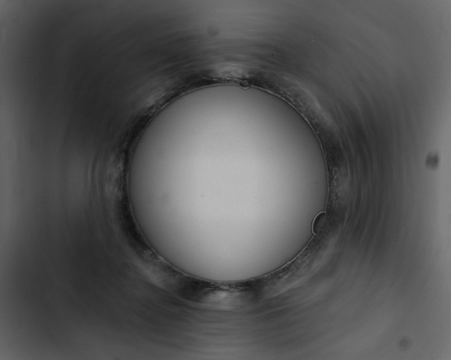 X0000102820364200809021256