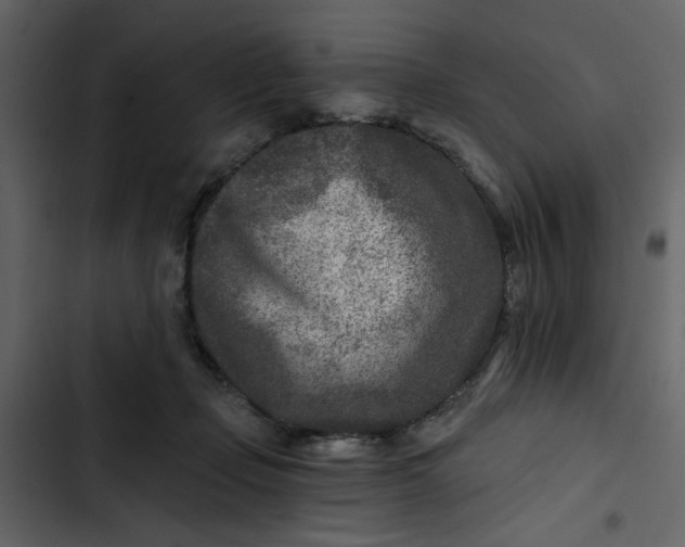 X0000102820365200809021256