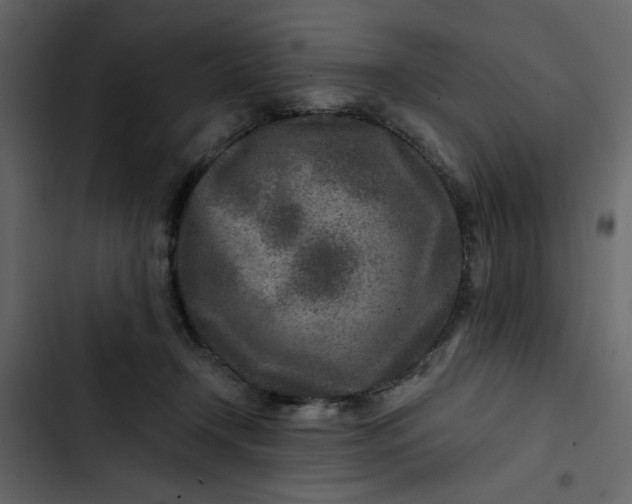X0000102820366200809021256